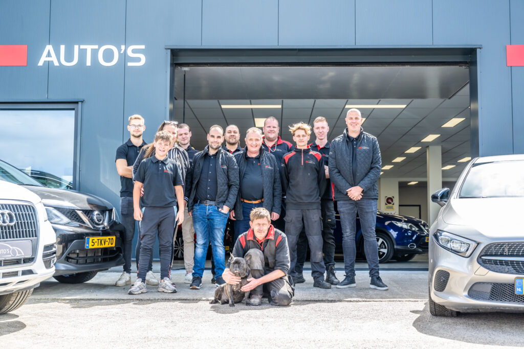 fz_auto's