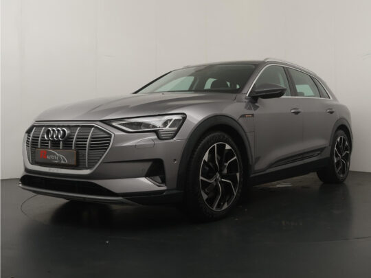 Audi e-tron e-tron 55 quattro advanced 95 kWh